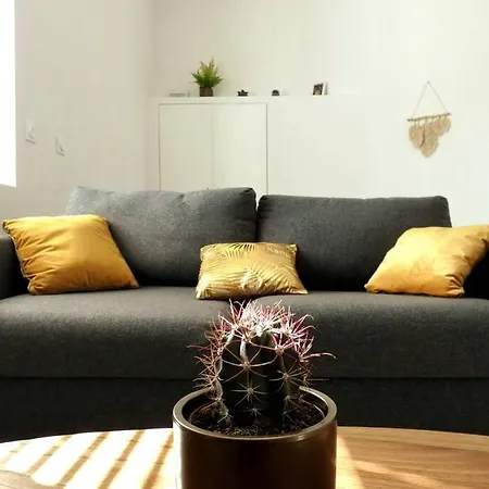☆le Cocoon☆studio - Centre-ville☆ דירה נים